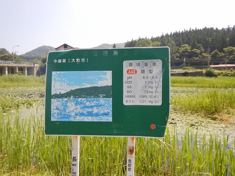 DSCN0738