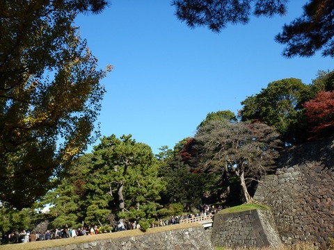DSCN1729