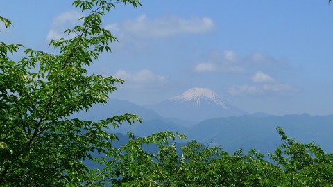 P1000423