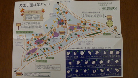 P1150682