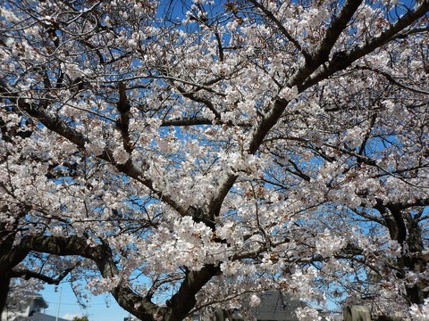 DSCN2676
