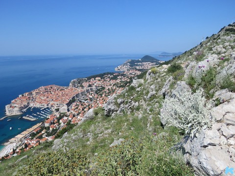 InkedIMG_0526_LI