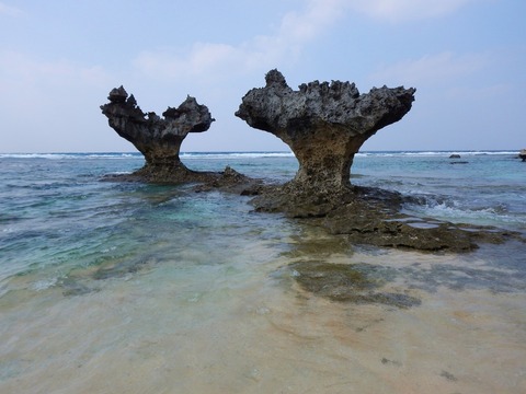 DSCN0436