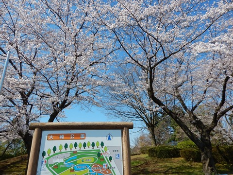 DSCN2559