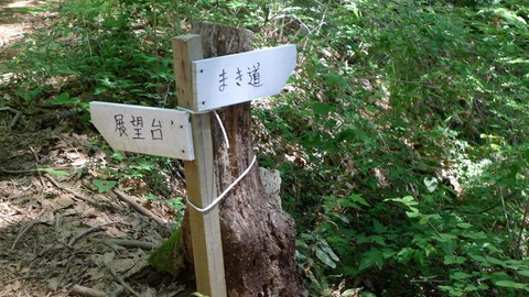 P1000439