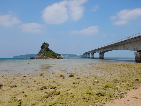 DSCN0389