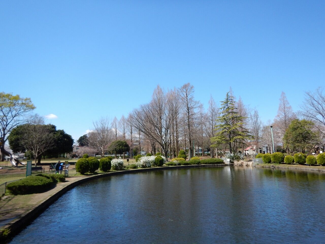 見沼田んぼのソメイヨシノも満開 大崎公園 見沼氷川神社公園 2020 夢は枯れ野を 見沼田んぼのソメイヨシノも満開 大崎公園 見沼氷川神社公園 2020 夢は枯れ野を