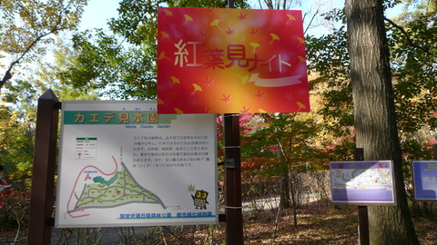P1150518