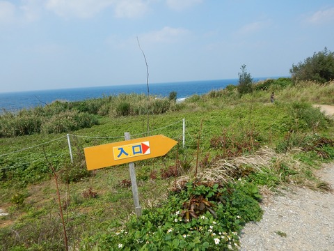 DSCN0433