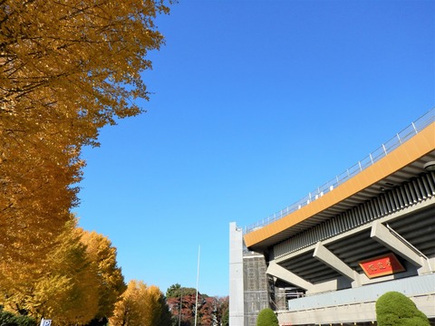 DSCN1982