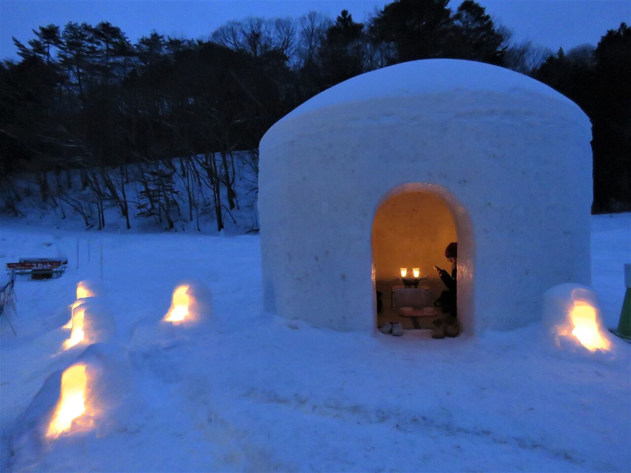 3世代で湯西川温泉かまくら祭りへ ２０２０ 小雪舞う幻想的なライトアップ 夢は枯れ野を
