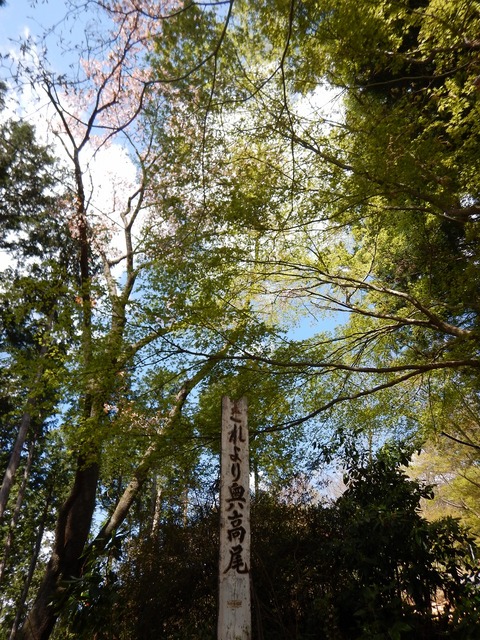 DSCN1274