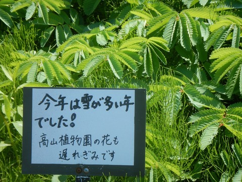 DSCN5165