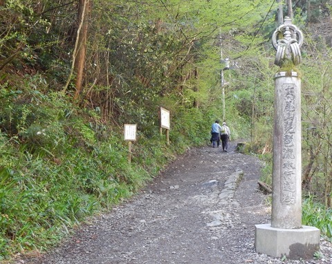 DSCN1195