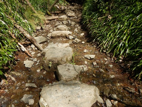 DSCN1235
