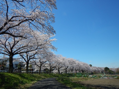 DSCN2607