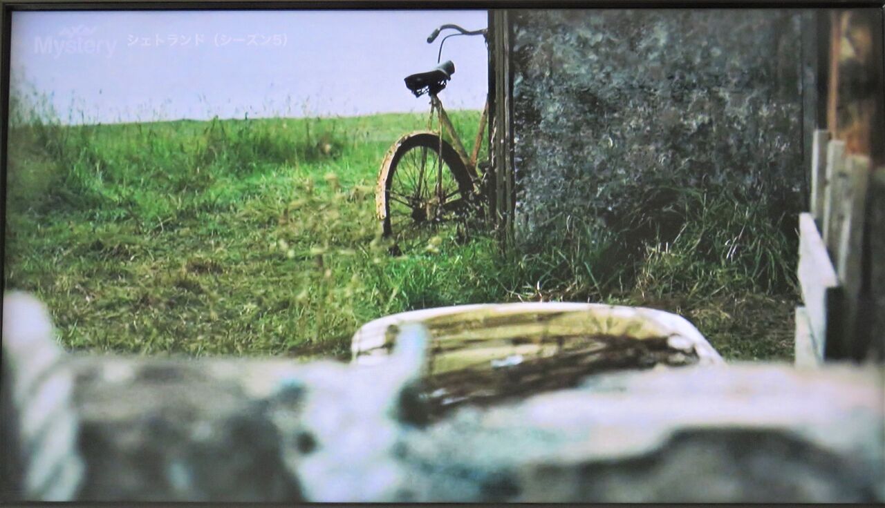 シーズン１から10年を経て変わらぬ心の闇と壮大な自然 シェトランド シーズン５ 夢は枯れ野を