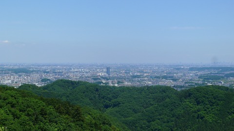 P1000442
