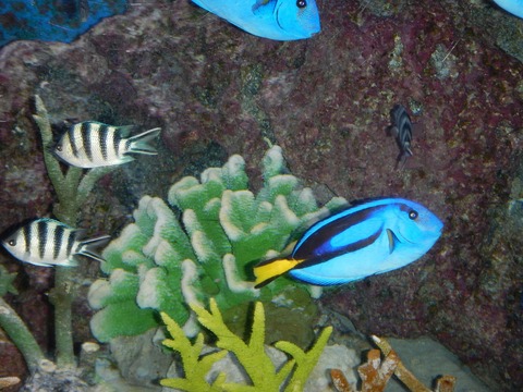 DSCN0944