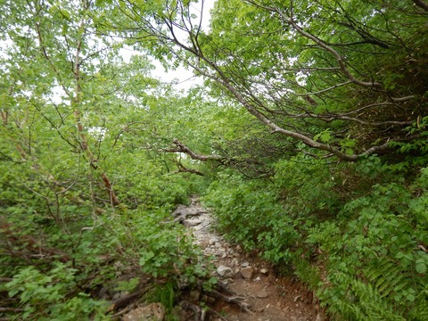 DSCN4657
