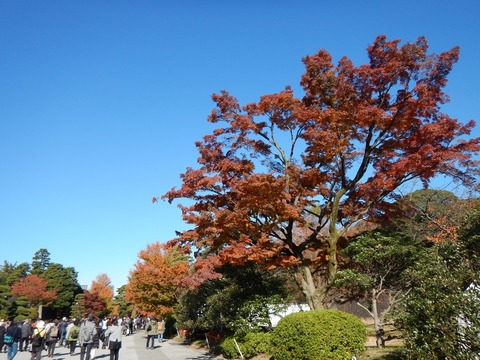 DSCN1649