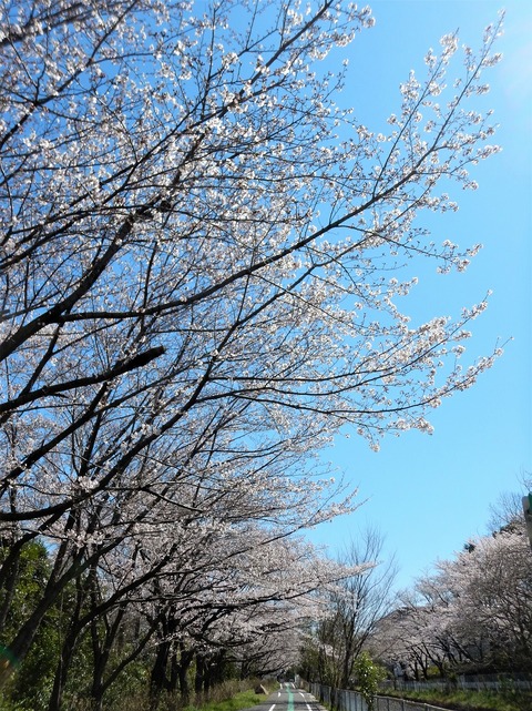 DSCN2581