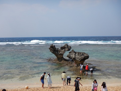 DSCN0434