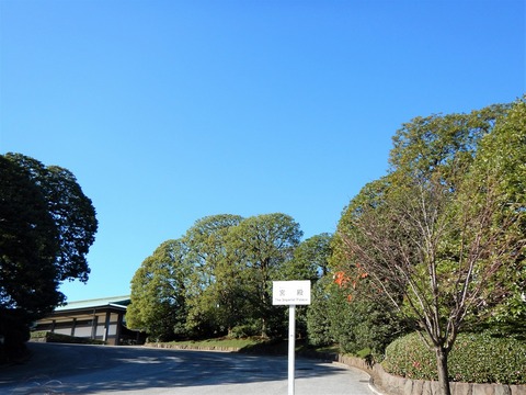 DSCN1641