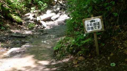 P1000392