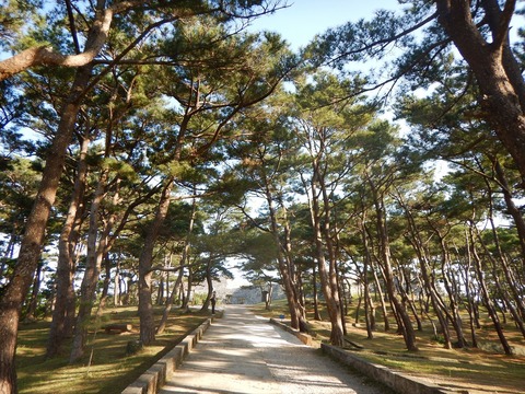 DSCN0543