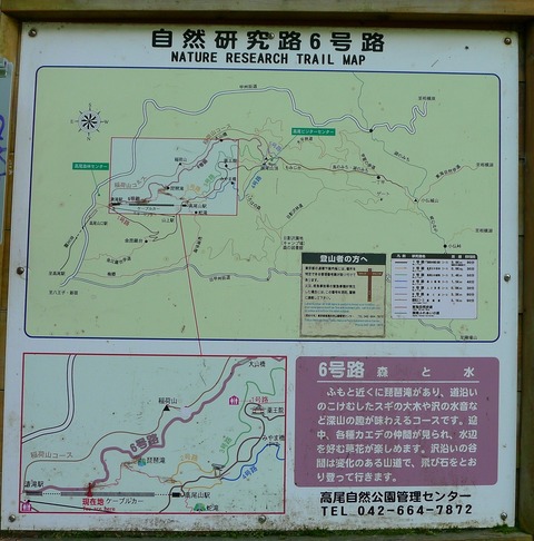 P1000360