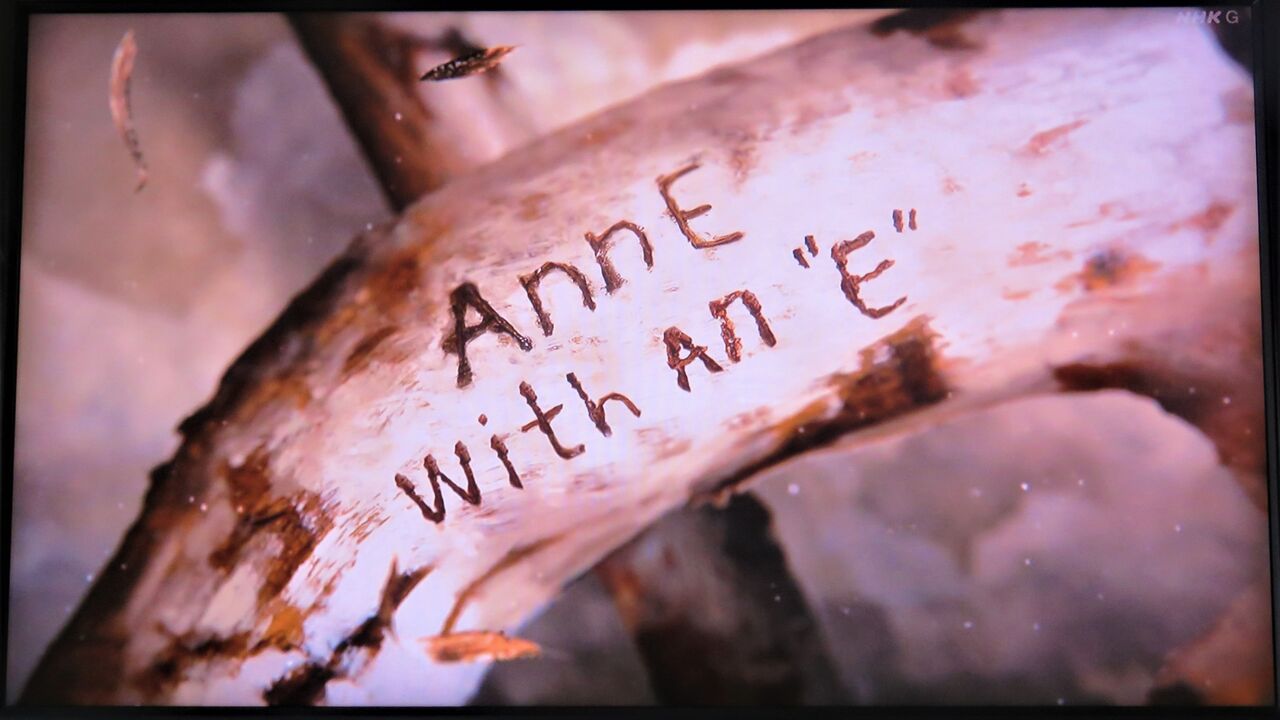 アンの世界がよみがえる美しいプリンスエドワード島の景色 そして新しいアン アンという名の少女 夢は枯れ野を