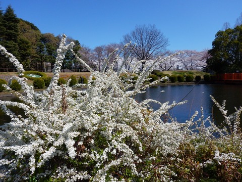 DSCN2570