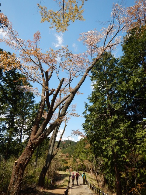 DSCN1303