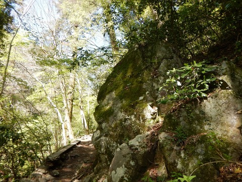 DSCN1229