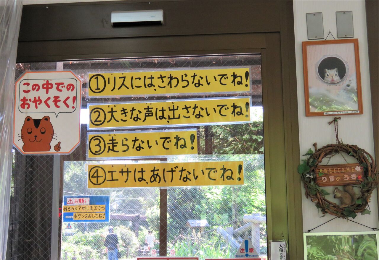 かわいいシマリスに癒される市民の森 りすの家 2020 夢は枯れ野を かわいいシマリスに癒される市民の森 りすの家 2020 夢は枯れ野を