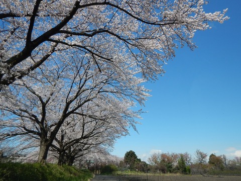 DSCN2615