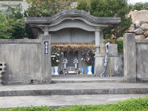 DSCN0383