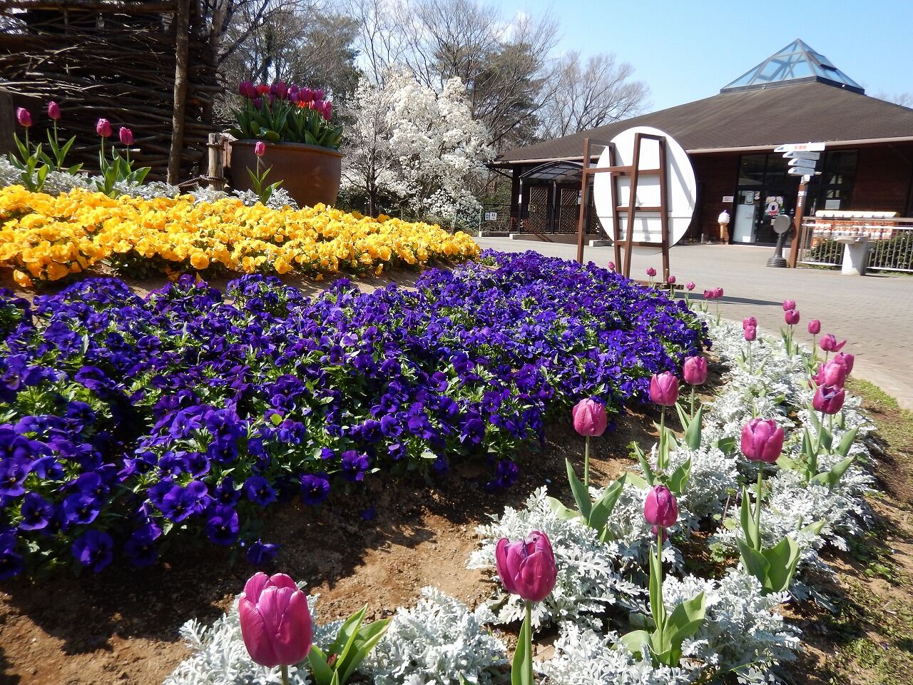 孫と森林公園のアスレチックとサイクリングで遊び倒す 2020 夢は枯れ野を 孫と森林公園のアスレチックとサイクリングで遊び倒す 2020 夢は枯れ野を