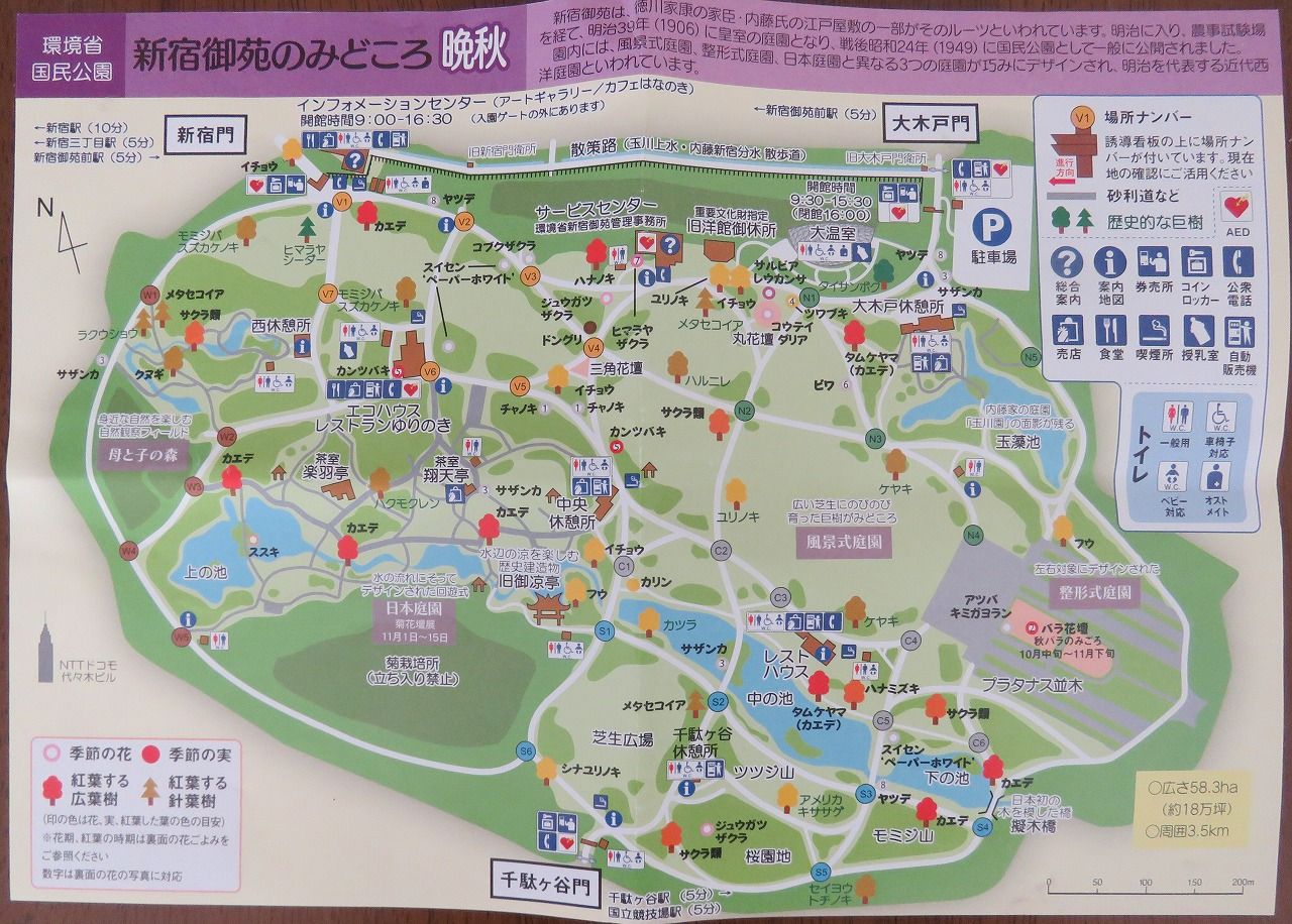 都内公園を紅葉散歩 新宿御苑 夢は枯れ野を 都内公園を紅葉散歩 新宿御苑 夢は枯れ野を