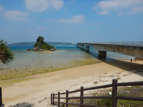 DSCN0387