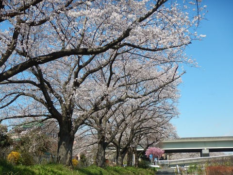 DSCN2640