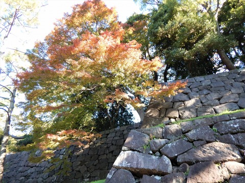 DSCN1748