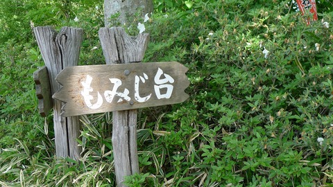 P1000415