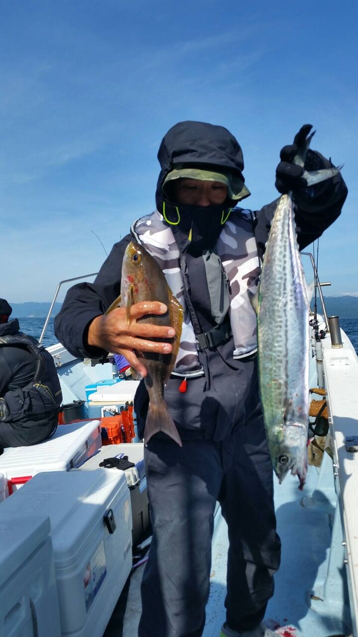 慶門丸5月釣果 慶門丸釣果情報ブログ 慶門丸5月釣果 慶門丸釣果情報ブログ