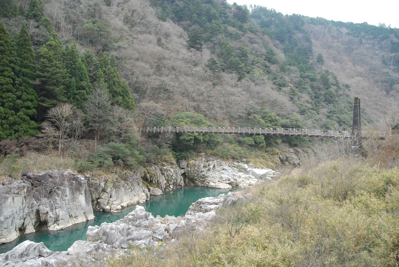 岐阜 中山七里 散歩のお伴にデジカメで