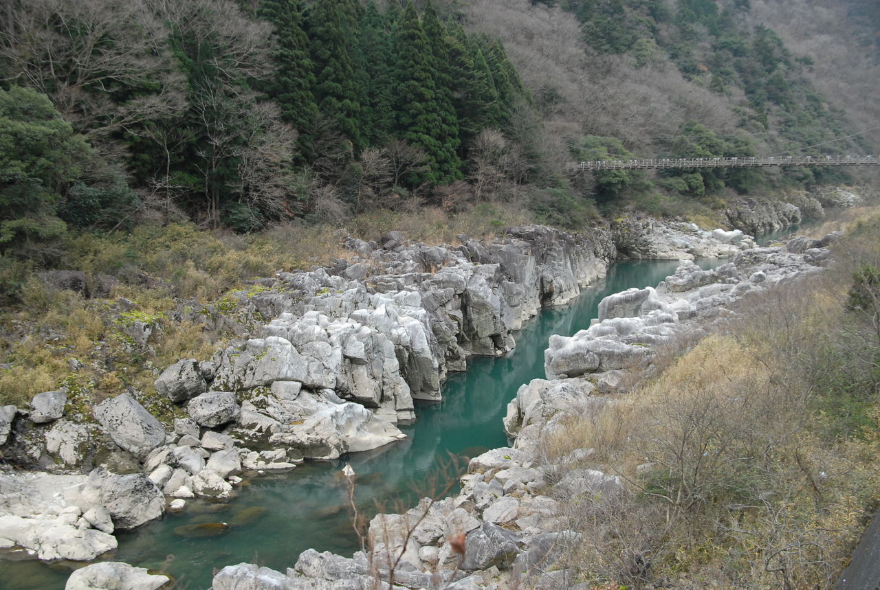 岐阜 中山七里 散歩のお伴にデジカメで