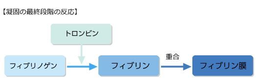 術後の切り傷処置は医療用接着剤 Keinakamuraのblog 術後の切り傷処置は医療用接着剤 Keinakamuraのblog