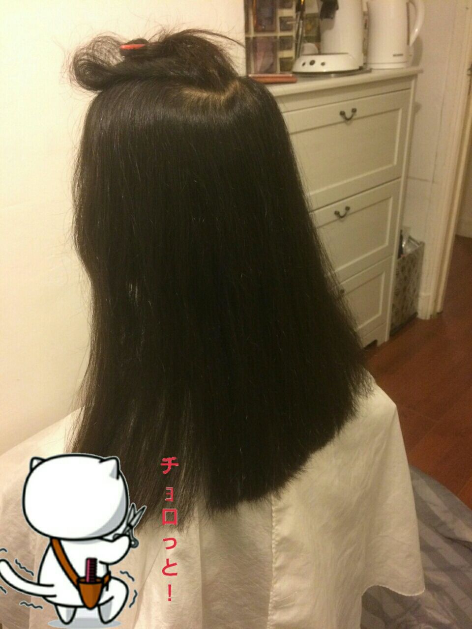 カットライン真っ直ぐ切って重く見せる バサバサ見えない工夫 アムステルダムの日本人美容師による適当ブログ そこにヒョウ柄がある限り