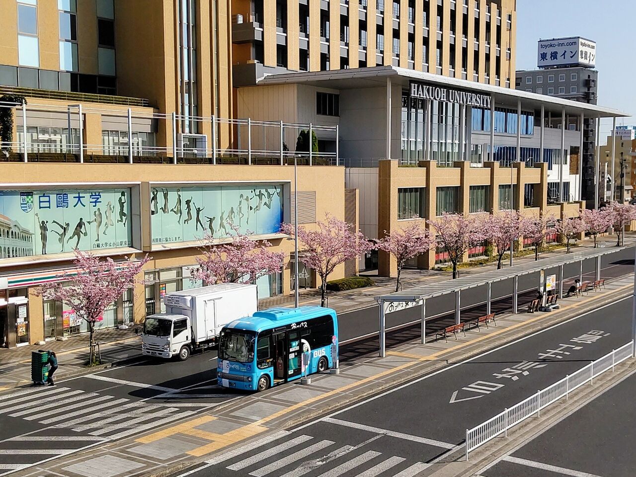 栃木県 小山の思川桜 9 美しい桜の並木 栃木県小山市 遊々 湯ったり ぶらり旅 ゆゆぶ